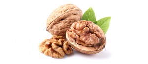 WALNUT